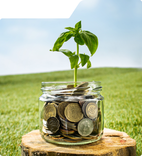 Discover the Novar Trade Story